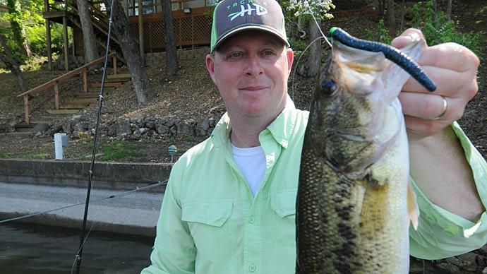 Beginner's Guide to Senkos  The Ultimate Bass Fishing Resource Guide® LLC