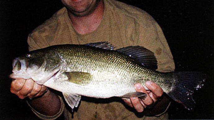 In The Heat Of The Night - Bass Fishing Videos and Tips