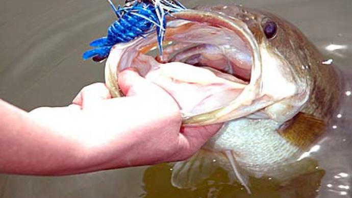 Spring Jig Fishing: What You Need To Know | Video | The Ultimate Bass ...