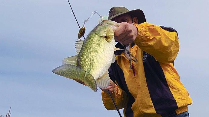 Top Five Baits for Spring Bass