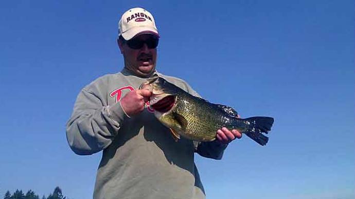 Seasonal Habits of the Largemouth Bass  The Ultimate Bass Fishing Resource  Guide® LLC