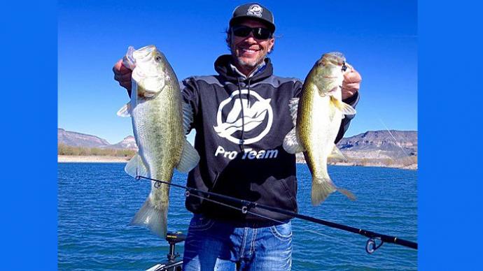 Texas Rigs Top to Bottom  The Ultimate Bass Fishing Resource