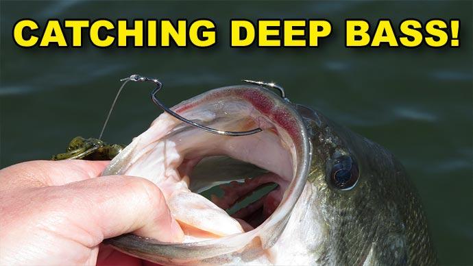 Fishing a Swing Head Jig with Elite Series Pro Josh Stracner