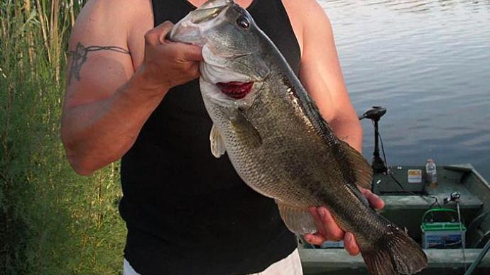 Try Spinnerbaits in Muddy Waters This Spring  The Ultimate Bass Fishing  Resource Guide® LLC