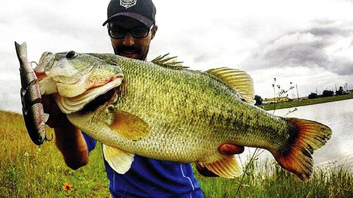 Fishing trophy big mouth bass offers