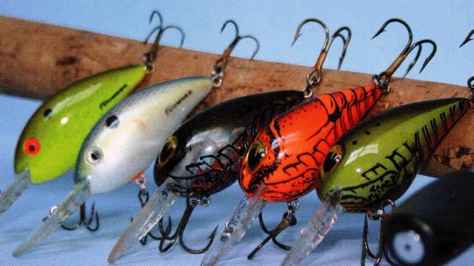 A Master Painter's Guide to Custom Painting Fishing Lures