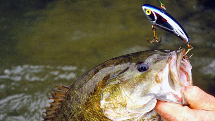 Quarry And Pond Fishing Tips  The Ultimate Bass Fishing Resource