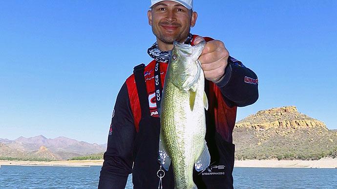 Postspawn Beauties  The Ultimate Bass Fishing Resource Guide® LLC