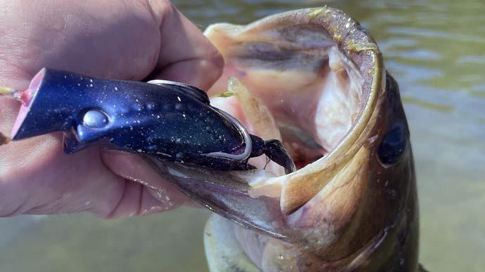 Post Spawn Bass Fishing