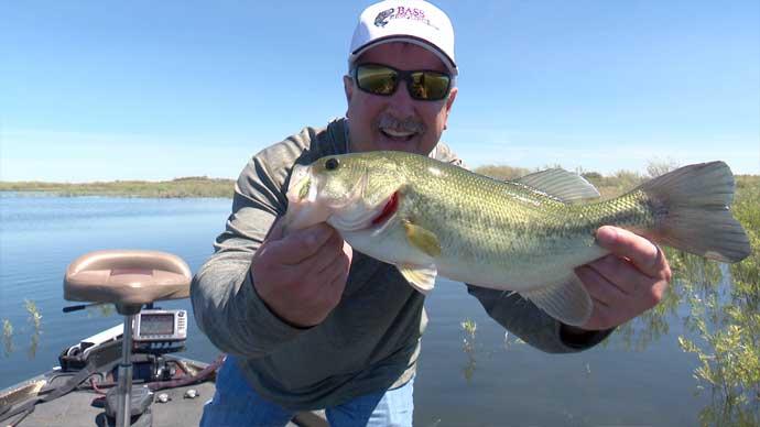 Seven Swimbait Tricks You Should Know  The Ultimate Bass Fishing Resource  Guide® LLC