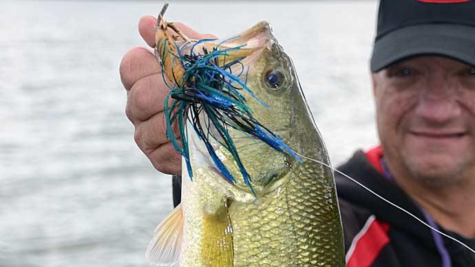 Pitching Go To's Texas Rig vs. Jigs