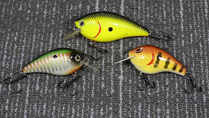 A Complete Guide to Fishing Lipless Crankbaits for Bass