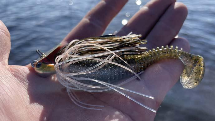 Spinnerbait Basics  The Ultimate Bass Fishing Resource Guide® LLC