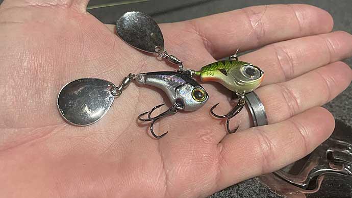 Fishing a Tail Spinner  The Ultimate Bass Fishing Resource Guide