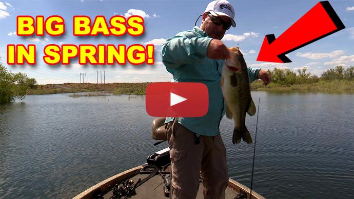 Spring Bass Fishing Top To Bottom, Video