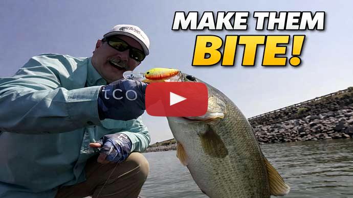Crankbait fishing