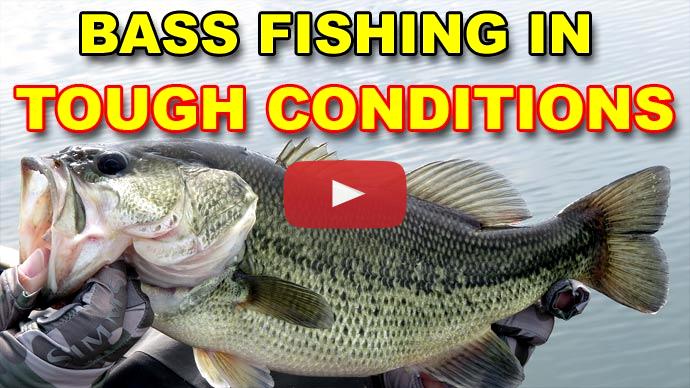 10 Myths About Spawning Bass All Fishermen Get Wrong | Video | The ...