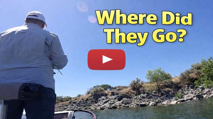 June bass fishing