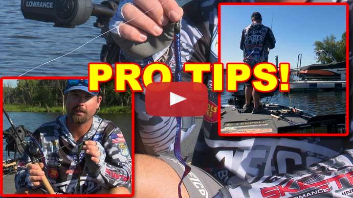 Top 5 Budget Bass Baits for Fall