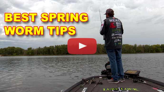 Spring worm tips