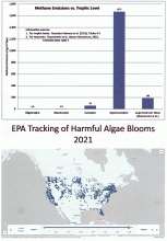 Harmful Algae Blooms (HABs) are Expanding at a Terrific Rate.